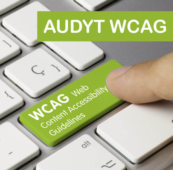 Audyty RODO WCAG